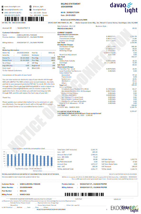 USA DAVAO LIGHT utility bill Word and PDF template